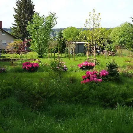 Moosberg Haus Mizzi * Holzminden